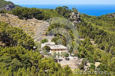 Terrases in Banyalbufar in Majorca Stock Photo