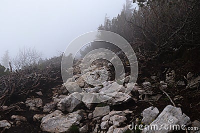 Terrible path across the hinterland on the Hochlantsch mountain in the Fischbach Alps, Austria. A muddy path carved into the rock Stock Photo