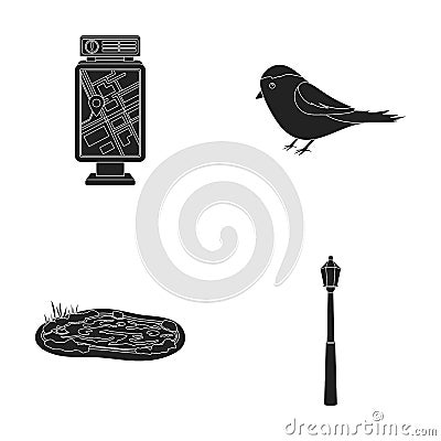 Territory plan, bird, lake, lighting pole. Park set collection icons in black style vector symbol stock illustration web Vector Illustration