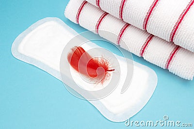 Terry towels, red feather on menstrual woman pad for blood period. Menstruation sanitary pad, personal hygiene. Woman critical day Stock Photo