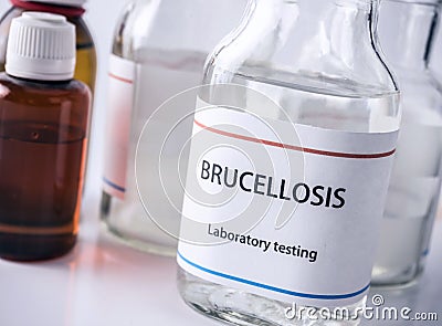 Test brucellosis in laboratory, conceptual image Stock Photo