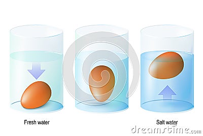 Test egg. Science Experiments and Test Eggs for Freshness in one Vector Illustration