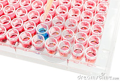 Test lab elisa plate analysis Stock Photo