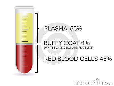 Test tube with blood cells Vector Illustration