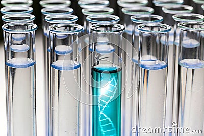 Test tubes with a dna sample Stock Photo