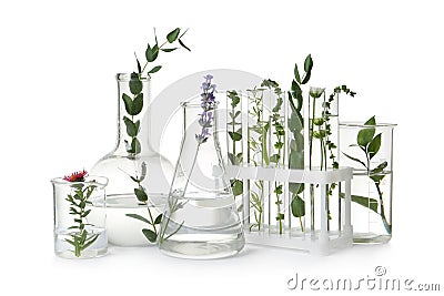 Test tubes and other laboratory glassware with plants on white background Stock Photo