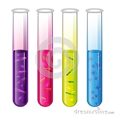 Test tubes set with liquid and bacteria cell and pylori. Vector Vector Illustration