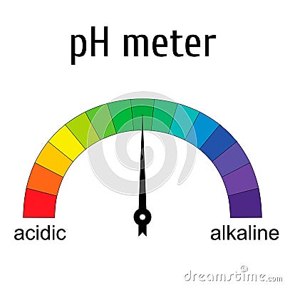 Tester pH meter for measuring acid alkaline balance, the pH scale Vector Illustration