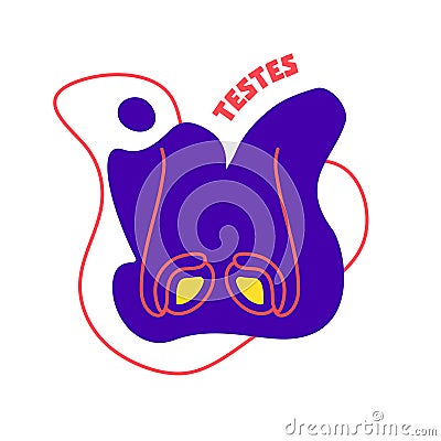 Testes endocrine and male reproductive systems body organ outline icon Vector Illustration