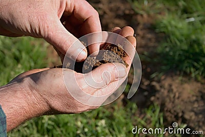 Testing the Soil Stock Photo