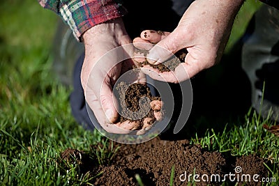 Testing the soil. Stock Photo