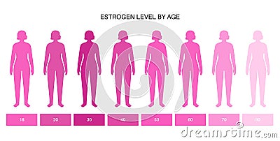 Testosterone estrogen level Vector Illustration