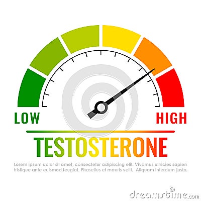 Testosterone level metering scale Vector Illustration