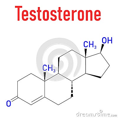 Testosterone male sex hormone. Androgen molecule skeletal formula. Chemical structure Vector Illustration