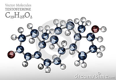 Testosterone Molecule Image Vector Illustration