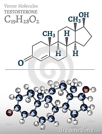 Testosterone Molecule Image Vector Illustration