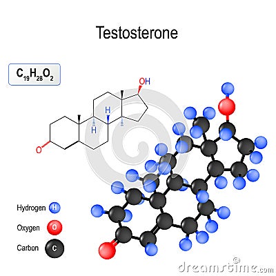 Testosterone. Structure of a molecule. Vector Illustration