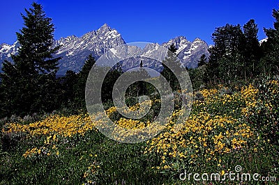 Teton Mountains Stock Photo