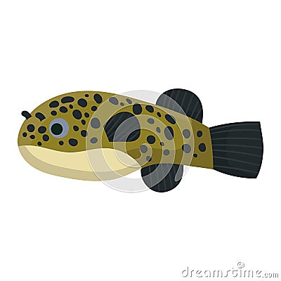 Tetradon fish aquarium water animal nature and vector underwater aquatic art. Tropical illustration fish with tail and fin. Vector Illustration