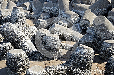 Tetrapods on the beach Stock Photo