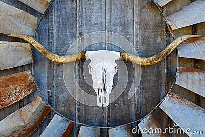 Texas barn art Stock Photo