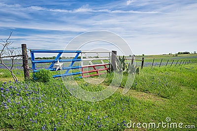 Texas bluebonnet field and fence in spring Stock Photo