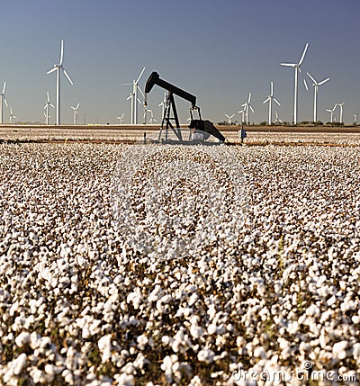 Texas Cotton Filed Textile Agriculture Oil Industry PumpJack Stock Photo