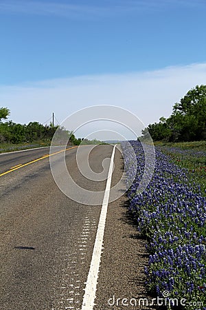 Texas Highway in Spring Stock Photo