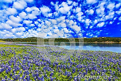 Texas Hill Country Stock Photo