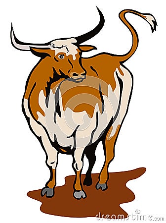 Texas longhorn bull Stock Photo