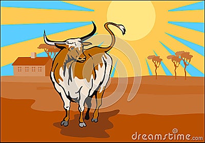 Texas longhorn bull prairie Stock Photo