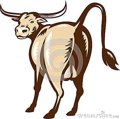 Texas Longhorn Bull Rear View Retro Stock Photo