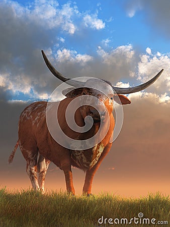 Texas Longhorn Stock Photo