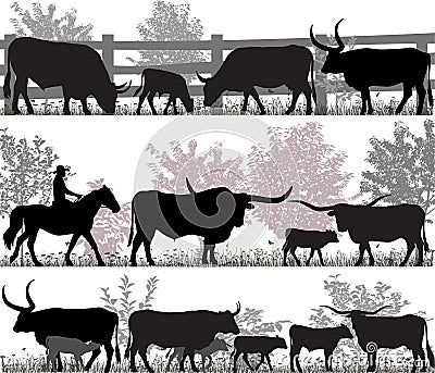 Texas longhorn cattle Vector Illustration