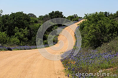 Texas Spring Stock Photo