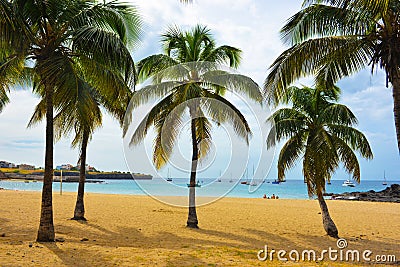 Cape Verde, Tarrafal Bay Beach, Coconuts Trees on Sand, Tropical Landscape, Santiago Island Stock Photo