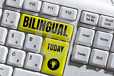 Conceptual display Bilingual. Business idea digital database containing information that can be used -57204 Stock Photo