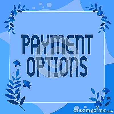Conceptual display Payment Options. Concept meaning The way of chosen to compensate the seller of a service Frame Stock Photo