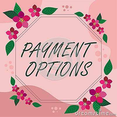 Text caption presenting Payment OptionsThe way of chosen to compensate the seller of a service. Business approach The Stock Photo