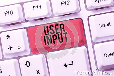 Text caption presenting User Input. Word for Any information or data that is sent to a computer for processing Abstract Stock Photo