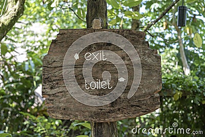 Text exit and toilet on a wooden board in a rainforest jungle of tropical Bali island, Indonesia. Exit and toilet wooden sign Stock Photo