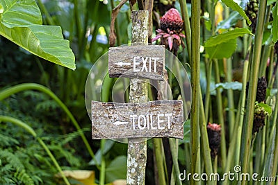 Text exit and toilet on a wooden board in a rainforest jungle of tropical Bali island, Indonesia. Exit and toilet wooden sign Stock Photo