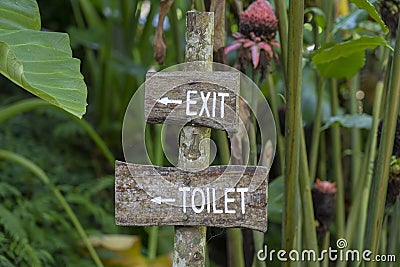 Text exit and toilet on a wooden board in a rainforest jungle of tropical Bali island, Indonesia. Exit and toilet wooden sign Stock Photo