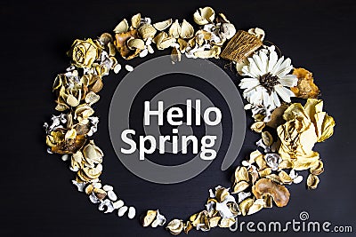 Text Hello Spring against a background of a mixture of dried flowers and flowers. Stock Photo