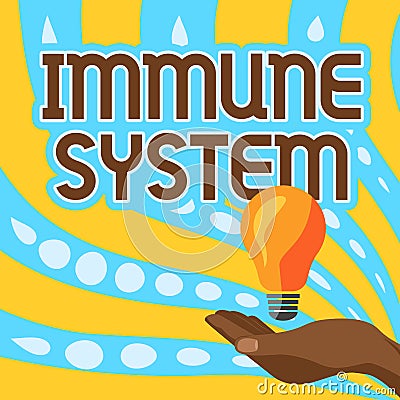 Text showing inspiration Immune System. Word Written on host defense system comprising many biological structures Lady Stock Photo