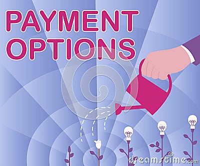 Text showing inspiration Payment Options. Concept meaning The way of chosen to compensate the seller of a service Hand Stock Photo