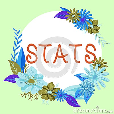 Text showing inspiration Stats. Business concept practice or science of collecting and analysing numerical data Stock Photo