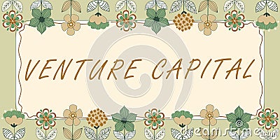 Text showing inspiration Venture Capitalfinancing provided by firms to small early stage ones. Business overview Stock Photo