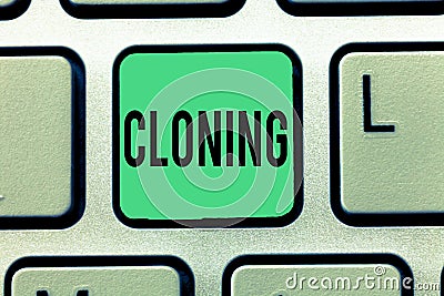 Text sign showing Cloning. Conceptual photo Make identical copies of someone or something Creating clones Stock Photo