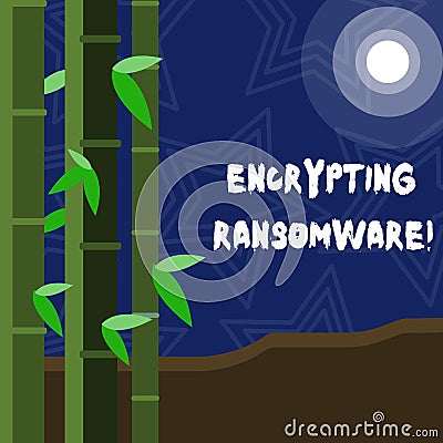 Text sign showing Encrypting Ransomware. Conceptual photo malware that limits users from accessing their system Colorful Stock Photo